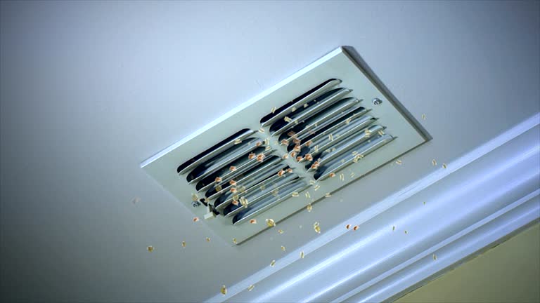 Best Ductwork Cleaning Services  in Newellton, LA