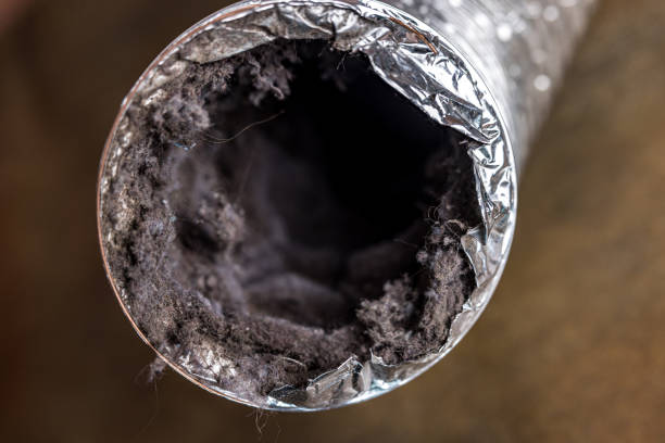 Best Affordable Duct Cleaning Services  in Newellton, LA